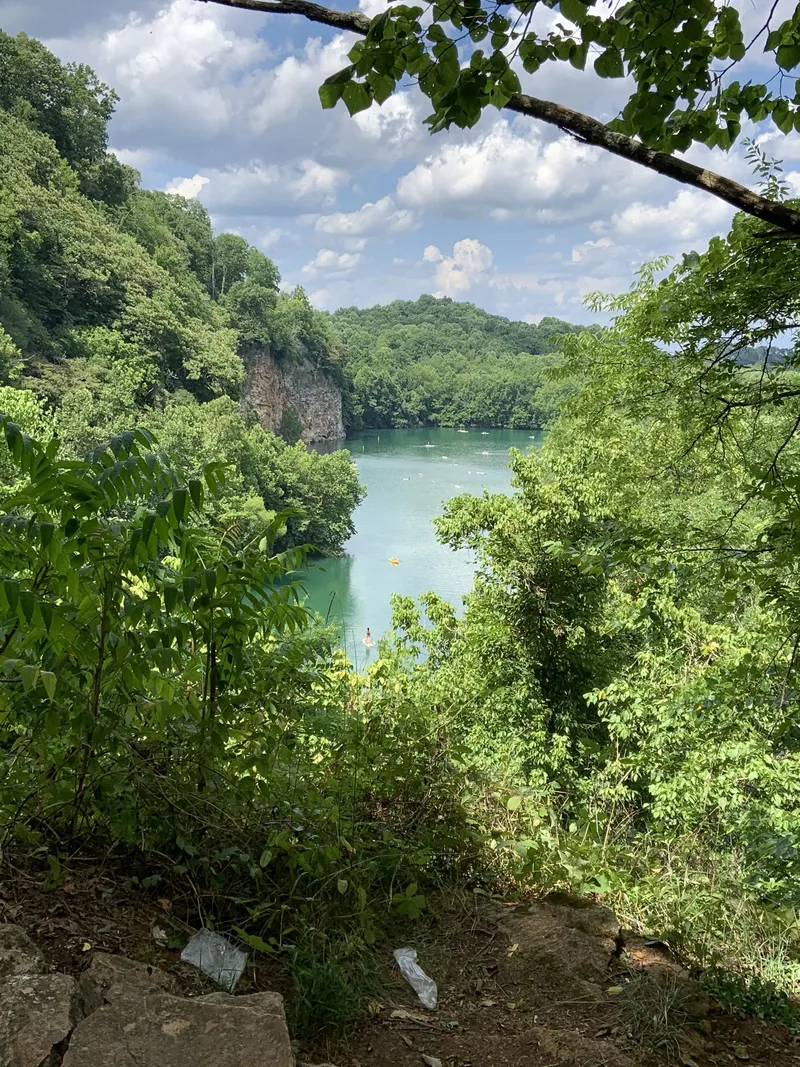 A view of a greenish-blue lake surrounded by steep, wooded hills under a cloudy sky.
