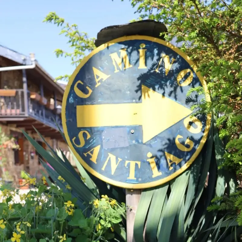A yellow and blue sign with an arrow pointing right, reading "Camino Santiago," surrounded by greenery and flowers.