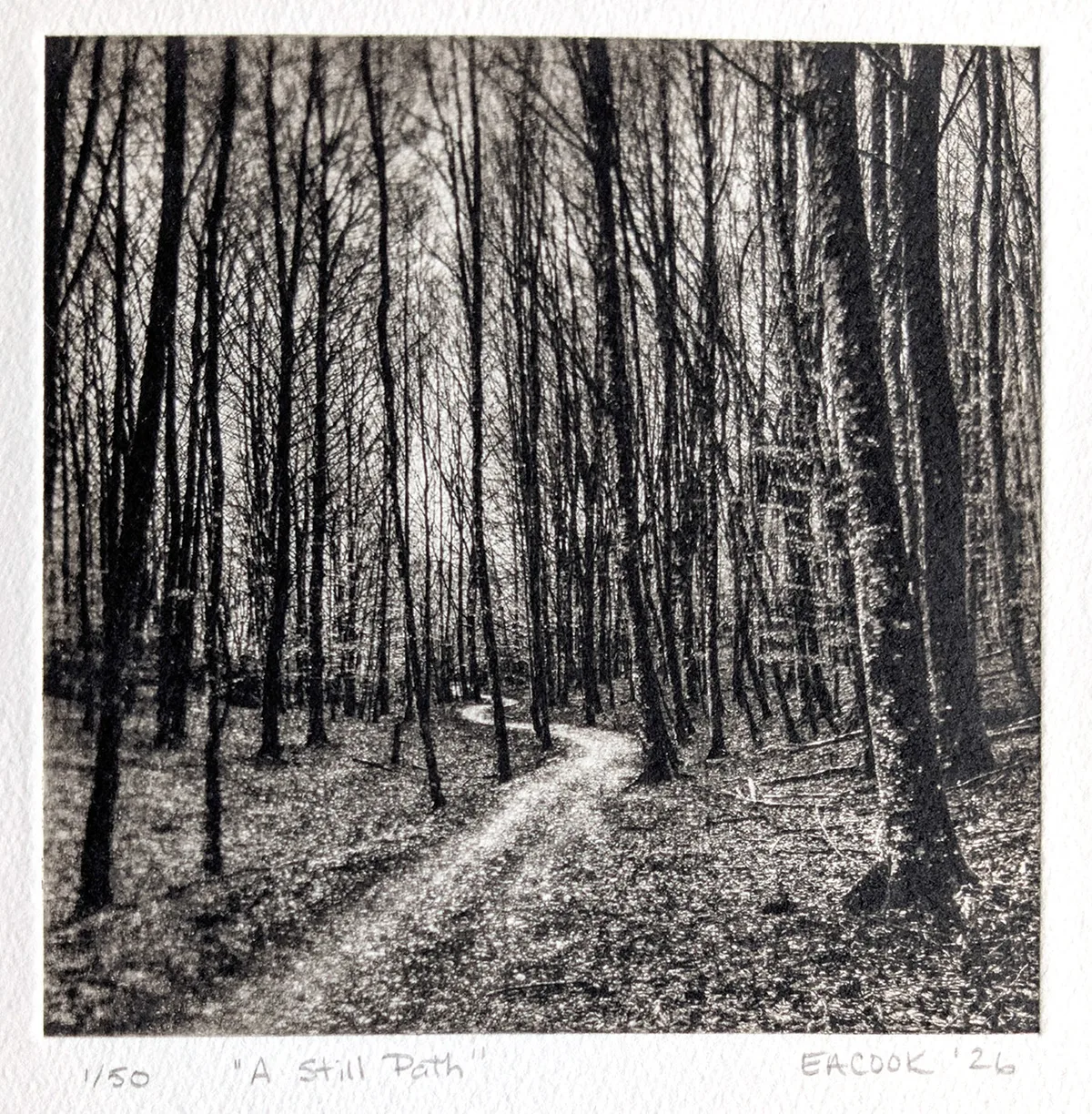 "A Still Path" Etching  Fine Art l Camino Sapiens