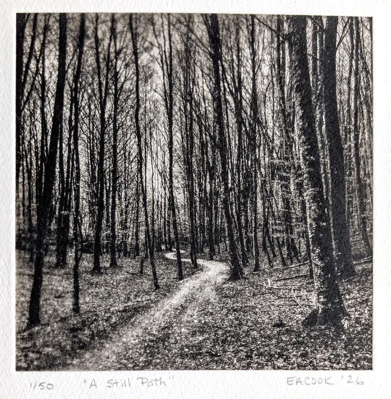 "A Still Path" Etching  Fine Art l Camino Sapiens