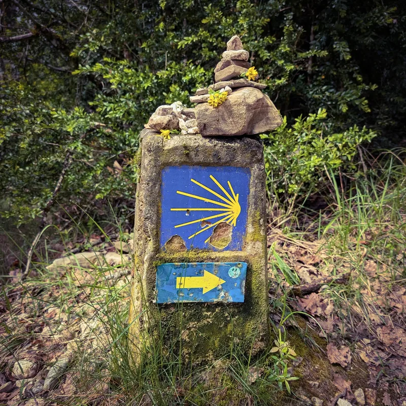 A stone marker with yellow and blue directional signs, topped with small rocks and yellow flowers, in a grassy area.