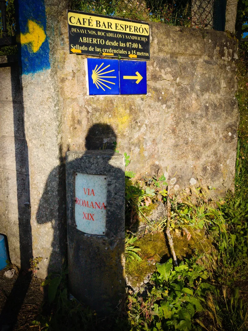 A stone wall with a café sign, yellow arrow, and a pillar marked "VIA ROMANA XIX" surrounded by grass and plants.