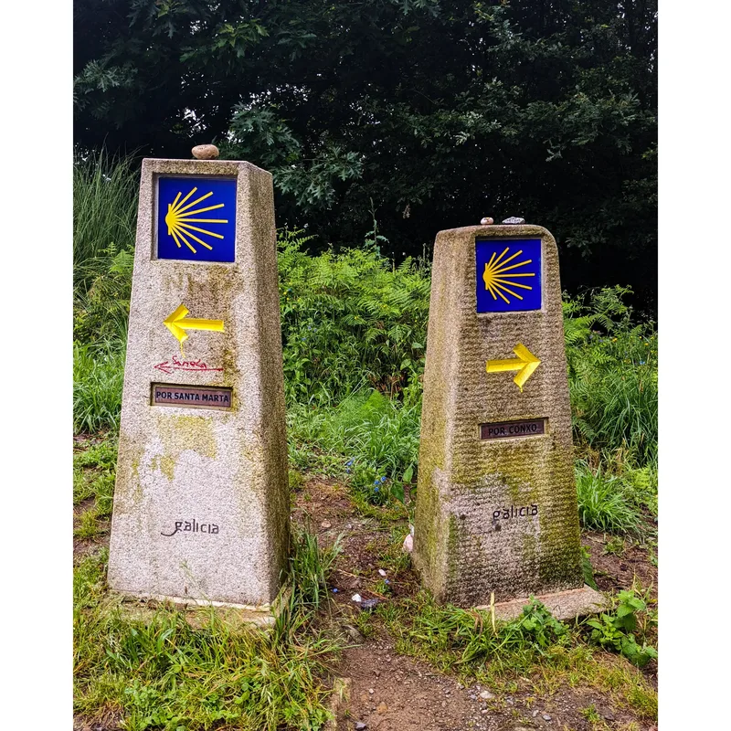 Two stone markers with yellow arrow symbols and blue backgrounds, surrounded by green foliage.