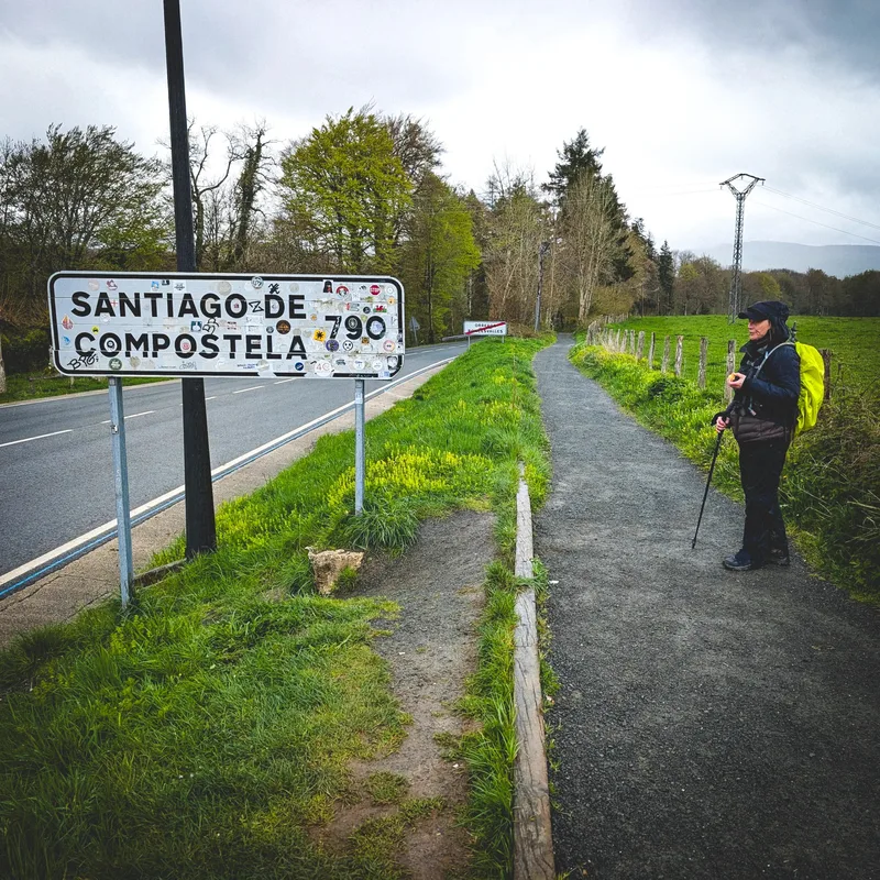 A person with a backpack stands by a sign indicating 790 km to Santiago de Compostela along a path and road.