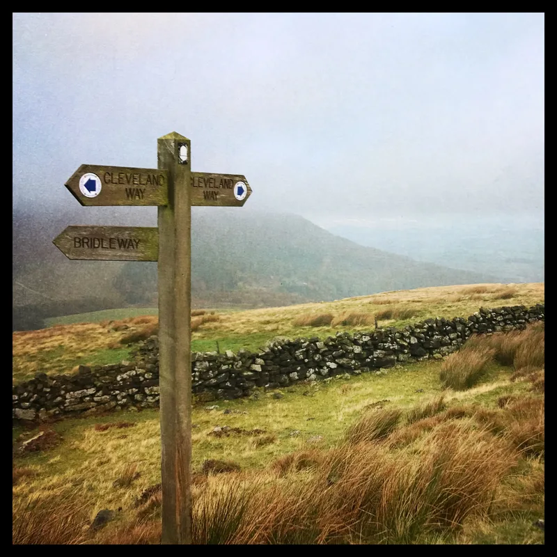Wooden signpost with three directional arrows: "Cleveland Way," "Bridle Way," and "Cleveland Way," grassy hillside and stone wall.