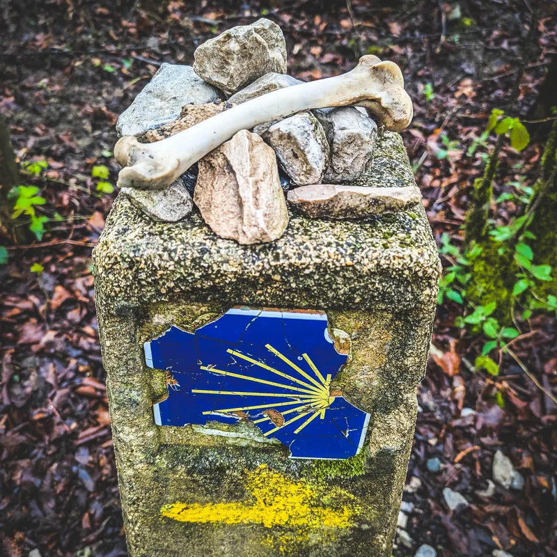 A stone pillar topped with rocks and a bone, featuring a damaged blue sign with a yellow design.