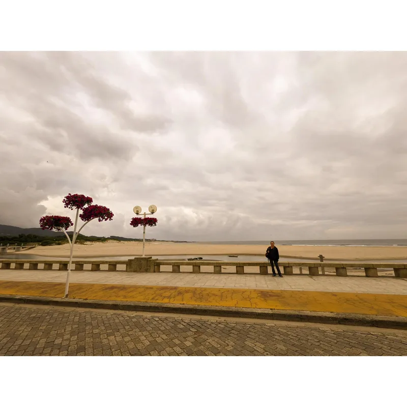 A person stands on a promenade near the beach, with cloudy skies and decorative flowering trees.
