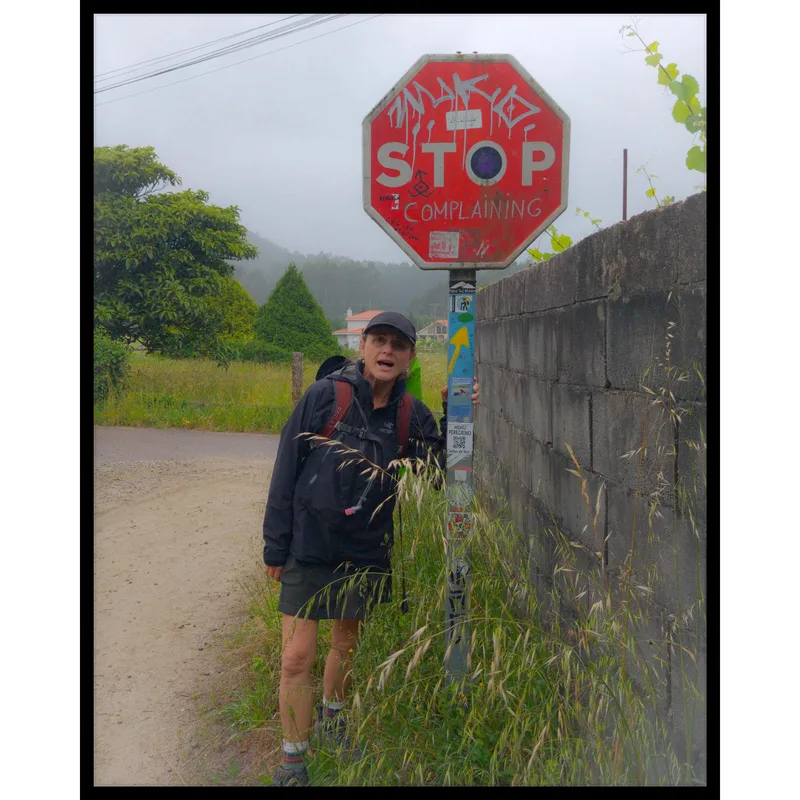 A person stands next to a red stop sign that reads "STOP COMPLAINING," with green fields and a foggy background.
