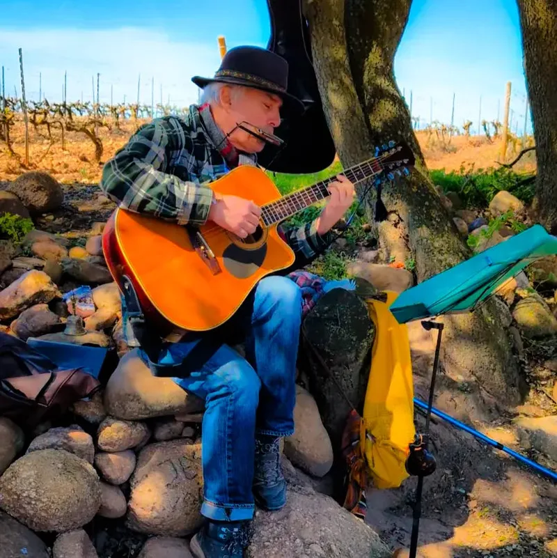 A man in a hat plays an acoustic guitar by a rock wall in a vineyard, with a harmonica and music stand nearby.