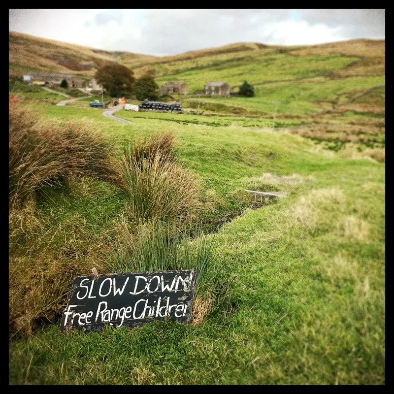 Sign reading "SLOW DOWN Free Range Children" in a grassy field with hills and buildings in the background.