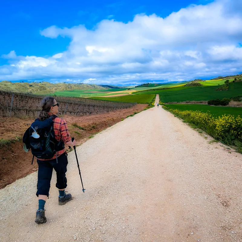 A person with a backpack walks on a dirt road flanked by fields and vineyards under a cloudy blue sky.
