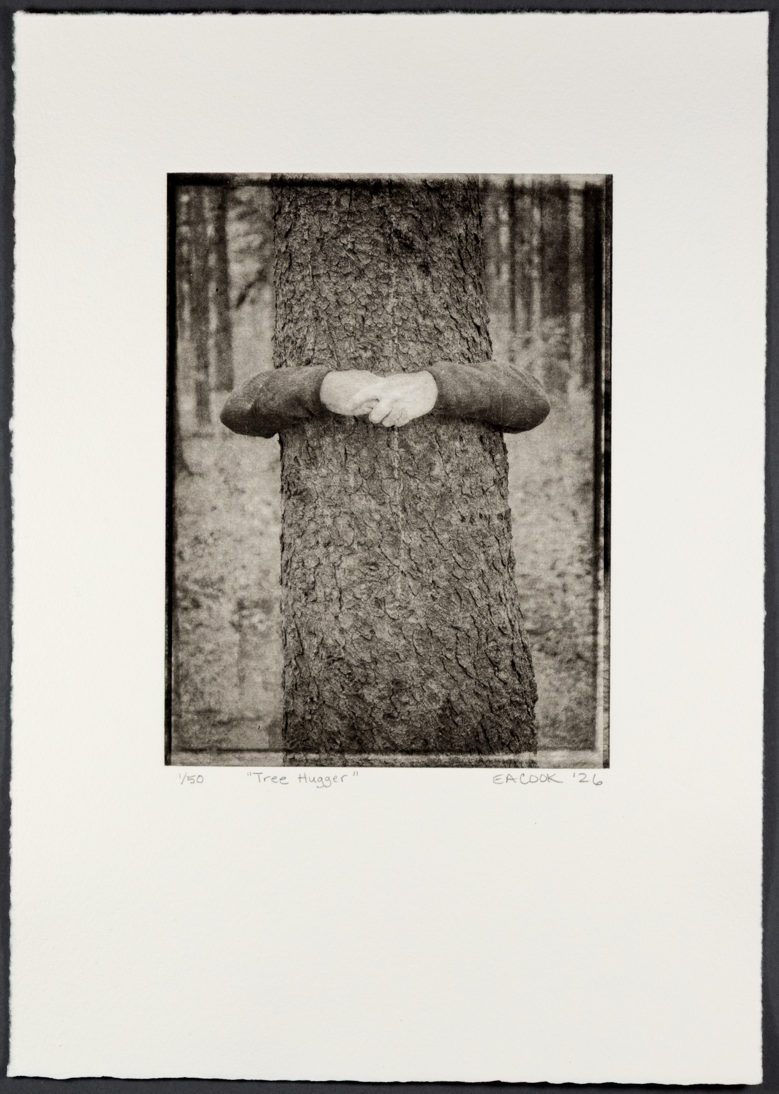 Tree Hugger -- Fine Art Hand-Pulled Photogravure