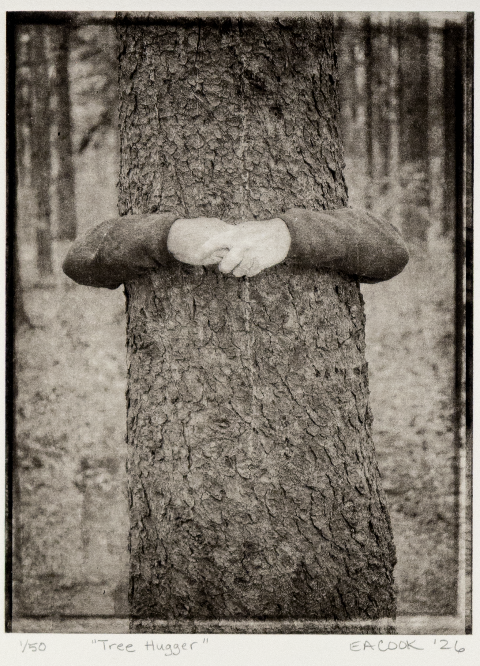 Tree Hugger -- Fine Art Hand-Pulled Photogravure