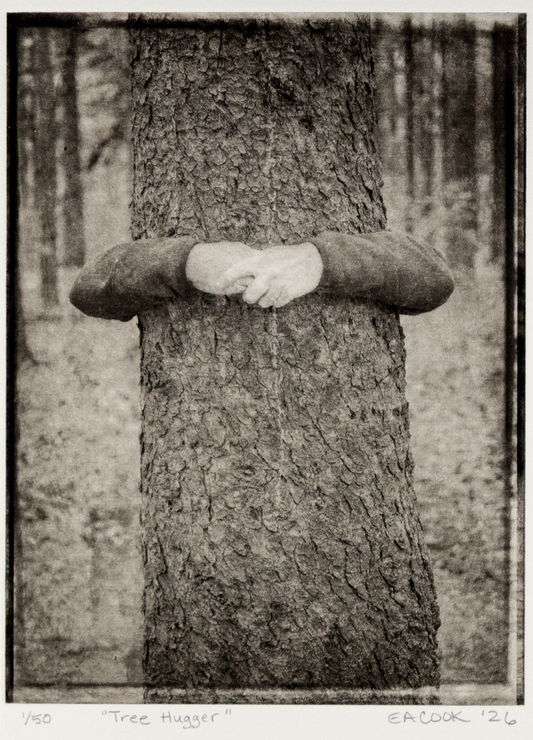 "Tree Hugger" Limited-Edition Fine Art Photogravure l Camino Sapiens
